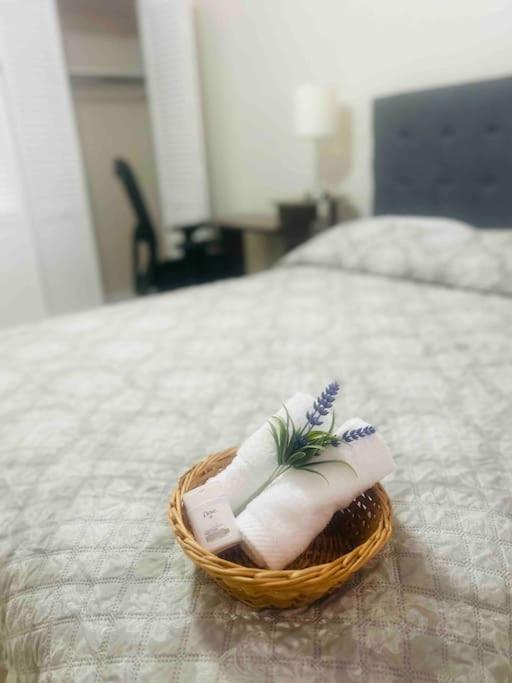 Villa Vintage Family Scape + Heated Pool&Discount à Tampa Extérieur photo