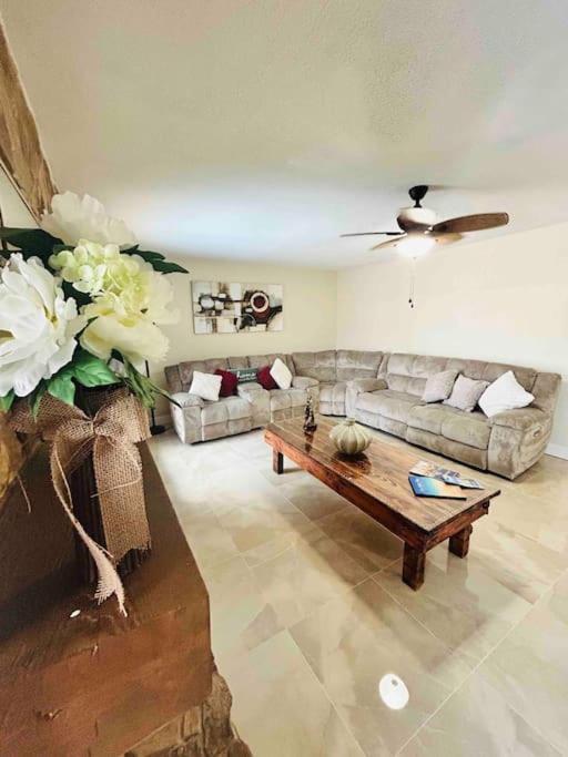 Villa Vintage Family Scape + Heated Pool&Discount à Tampa Extérieur photo