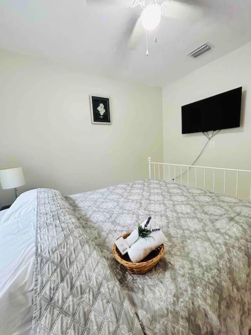 Villa Vintage Family Scape + Heated Pool&Discount à Tampa Extérieur photo