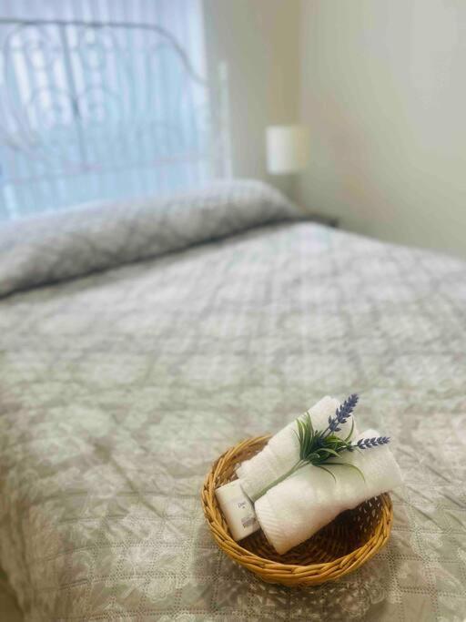 Villa Vintage Family Scape + Heated Pool&Discount à Tampa Extérieur photo